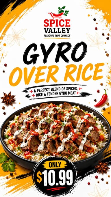 Gyro Over Rice